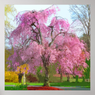 Poster Árvore cor-de-rosa de florescência vibrante no