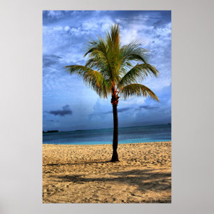Póster Árvore da ilha