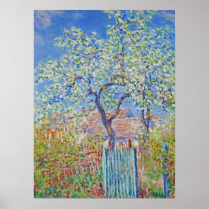 Poster Árvore da pera na Flor - Claude Monet