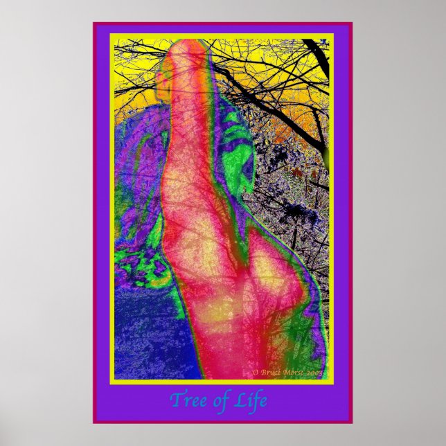 Póster Árvore da Vida (Frente)