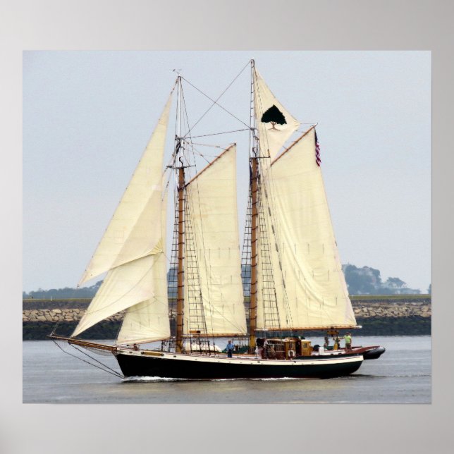 Poster Árvore da Vida (Frente)