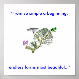 Póster Árvore da Vida