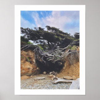 Poster Árvore da Vida