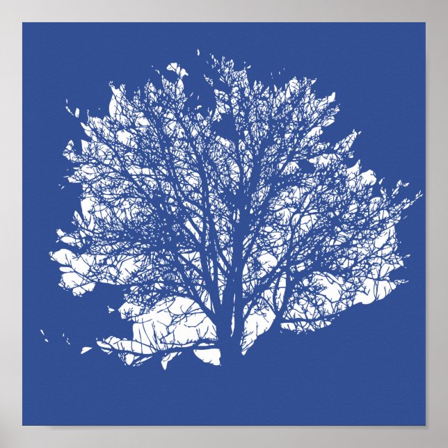 Poster Árvore da Vida (Frente)