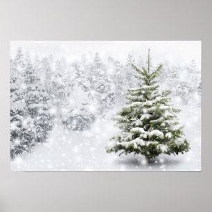 Poster Árvore de abeto na neve grossa