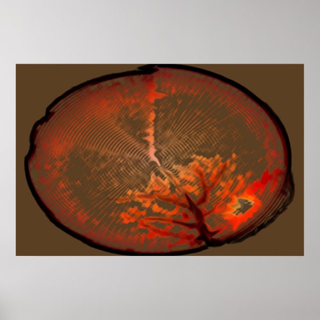 Póster Árvore De Carvalho Ao Sol (Frente)