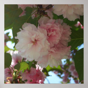 Poster Árvore de cereja I Primavera Floral com duas flor