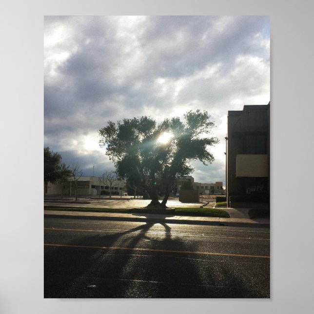 Poster Árvore de cidades (Frente)