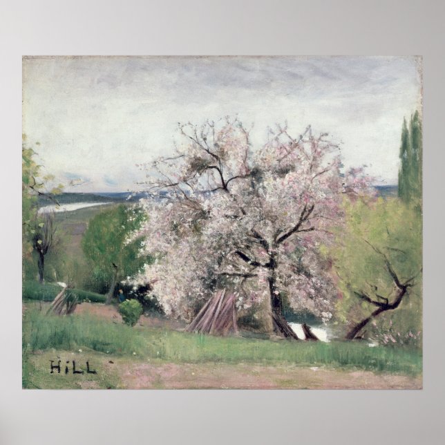Póster Árvore de fruta em Blossom, Bois-le-Roi (Frente)