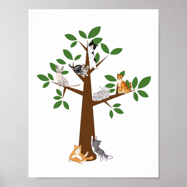 Poster Árvore de Gato (Frente)