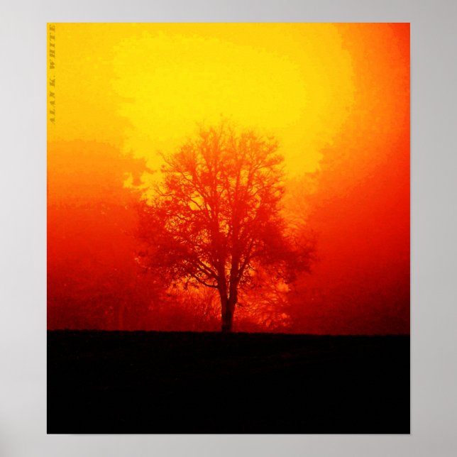 Poster Árvore de gravação (Frente)