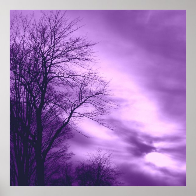 Poster Árvore de inverno e céu em roxo (Frente)