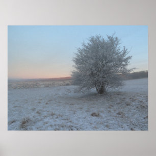 Poster Árvore de inverno sobre o nascer do sol