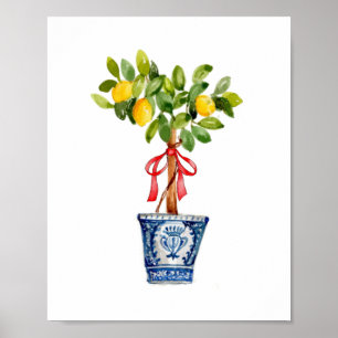 Poster Árvore de limão em vaso azul
