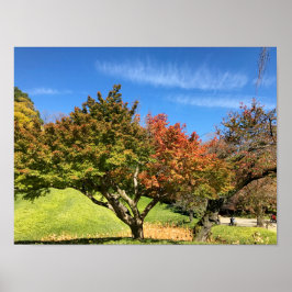 Poster Árvore de Mapeamento Colorida no outono