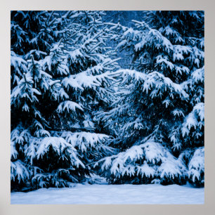 Póster Árvore de Natal da Floresta de inverno