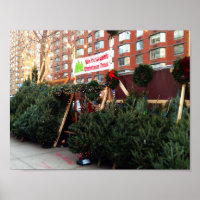 Árvore de Natal em Upper West Side Nova Iorque