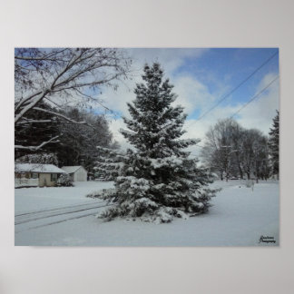 Poster Árvore de Natal sem corte