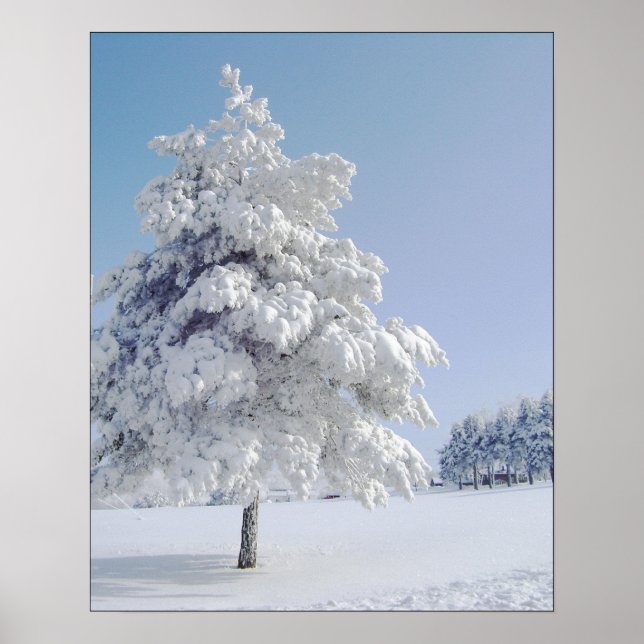 Poster Árvore de Neve Conhecida (Frente)