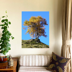 Poster Árvore de Outono