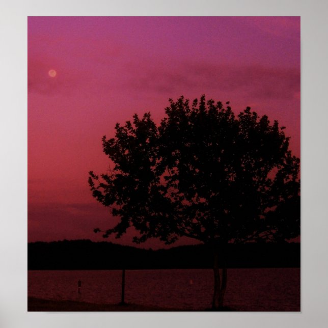 Póster Árvore de Paixão (Frente)