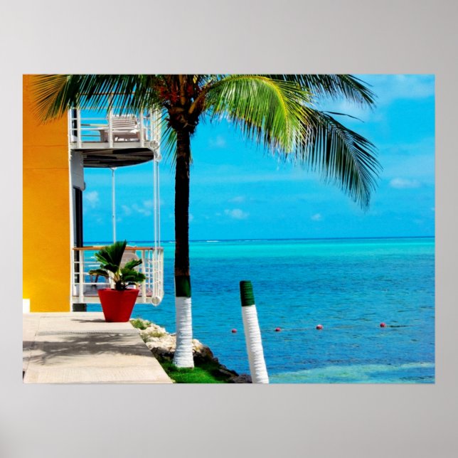 Póster Árvore De Palma Na Frente De Uma Casa No Mar (Frente)