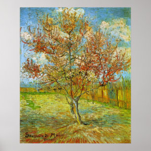 Poster Árvore de pêssego cor-de-rosa na flor por Vincen