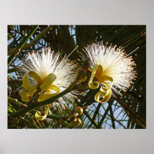 Poster Árvore de Pincel de Banho