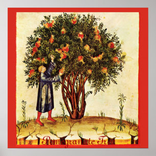 PÓSTER ÁRVORE DE ROMÃ ANTIGA