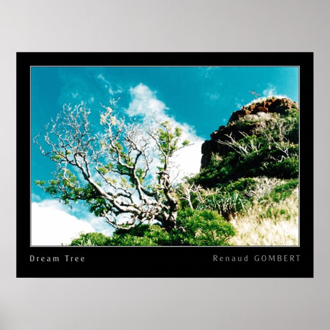 Póster Árvore de sonhos (Frente)