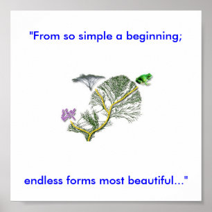 Póster Árvore de vida