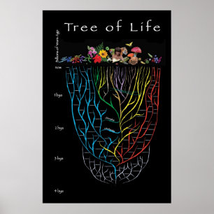 Póster Árvore de vida