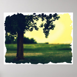 Póster Árvore de vida