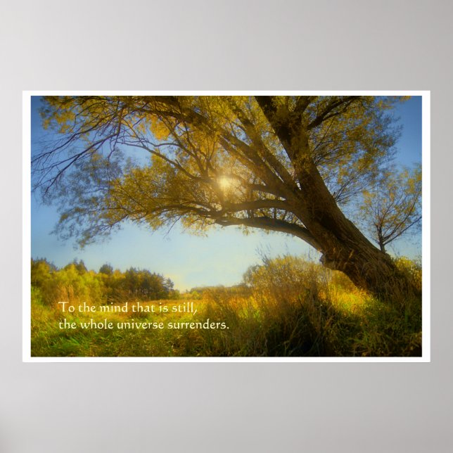 Poster Árvore de Wise (Frente)