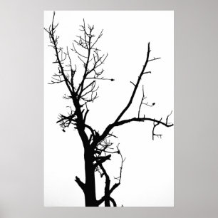 Poster Árvore desencapada preto e branco