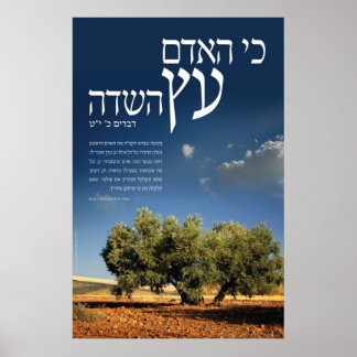 Poster Árvore do Campo