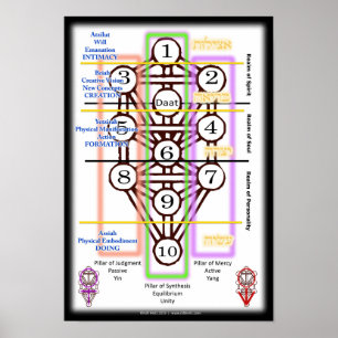 Poster Árvore do diagrama da vida pequeno