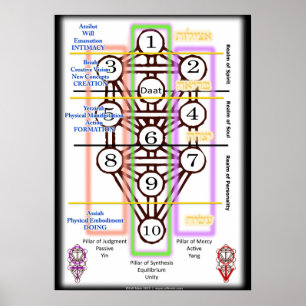 Poster Árvore do diagrama   da vida todos os tamanhos