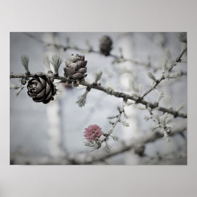 Poster Árvore do Flor (Frente)