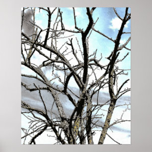 PÓSTER ÁRVORE DO INVERNO