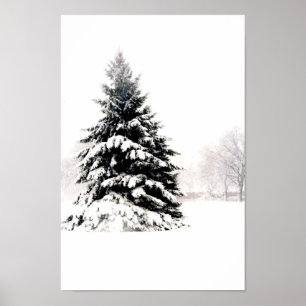 Póster Árvore do inverno