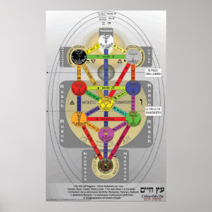 Póster Árvore do italiano da vida