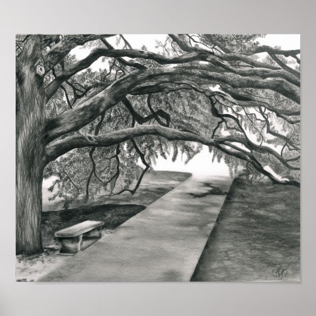 Póster Árvore do século (Frente)