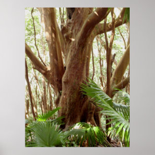 Póster Árvore e palmas da goiaba de morango