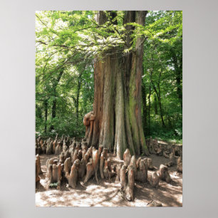Poster Árvore e raízes