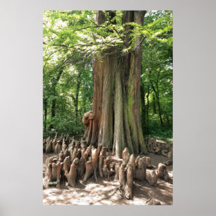 Poster Árvore e raízes