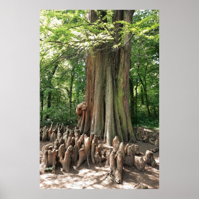 Poster Árvore e raízes (Frente)