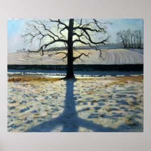 Póster Árvore e Shadow Calke Abbey Derbyshire