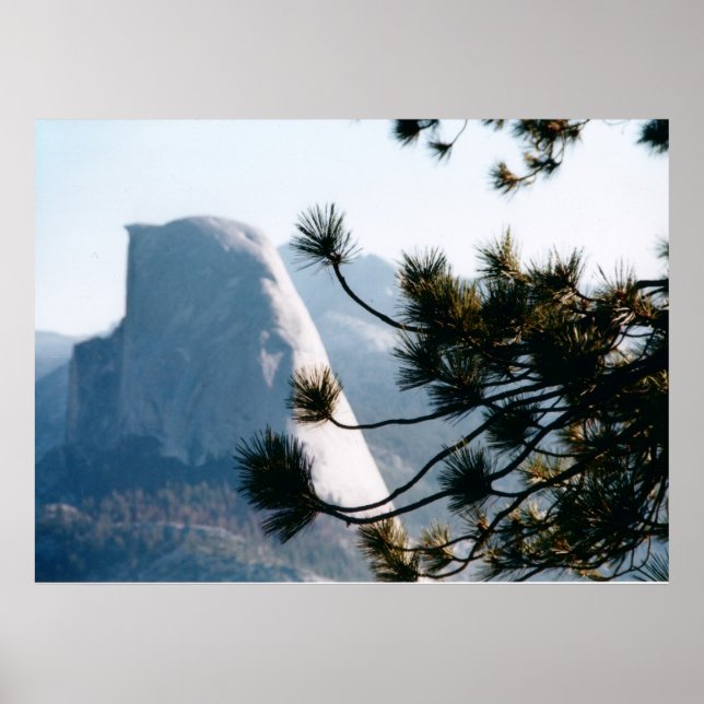 Poster Árvore em Half Dome (Frente)