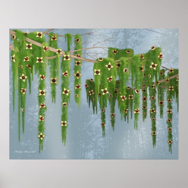 Poster Árvore Fantasia de Truffle Chocolate (Frente)